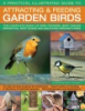 A_practical_illustrated_guide_to_attracting___feeding_garden_birds