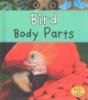 Bird_body_parts