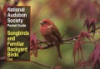 The_Audubon_Society_pocket_guide_to_North_American_songbirds_and_familiar_backyard_birds