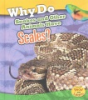 Why_do_snakes_and_other_animals_have_scales_