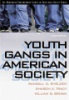 Youth_gangs_in_American_society