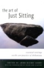 The_art_of_just_sitting
