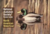 The_Audubon_Society_pocket_guide_to_North_American_waterfowl
