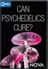 Can_psychedelics_cure_