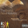 Elephantitis__The_Funk___House_Remixes