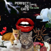 Perfect_As_Cats__A_Tribute_To_The_Cure