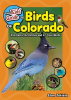 The_Kids__Guide_to_Birds_of_Colorado
