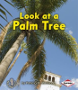 Look_at_a_Palm_Tree