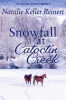 Snowfall_at_Catoctin_Creek