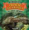 Chinese_Salamander__The_Largest_Amphibian