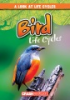 Bird_life_cycles