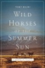 Wild_horses_of_the_summer_sun