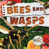 Bees_and_Wasps