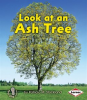 Look_at_an_Ash_Tree