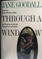 Through_a_window