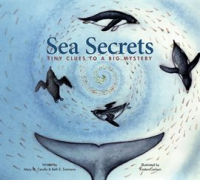 Sea_Secrets