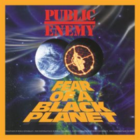 Fear_Of_A_Black_Planet__Deluxe_Edition_