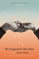 We_imagined_it_was_rain