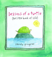 Lessons_of_a_Turtle